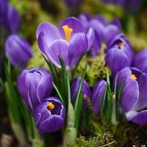 Meet your Posher, Thuy